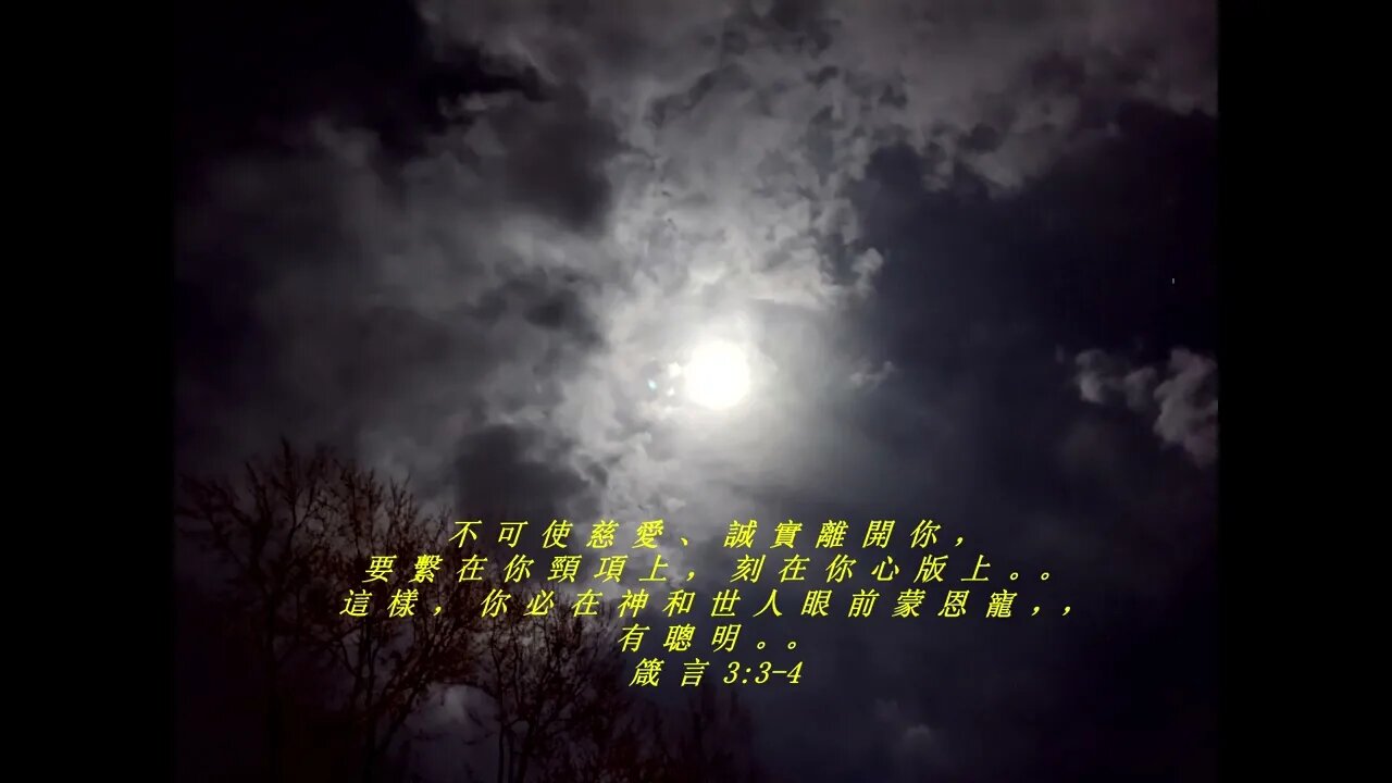 今天的每日聖經經文Jīntiān de měi rì shèngjīng jīng wén