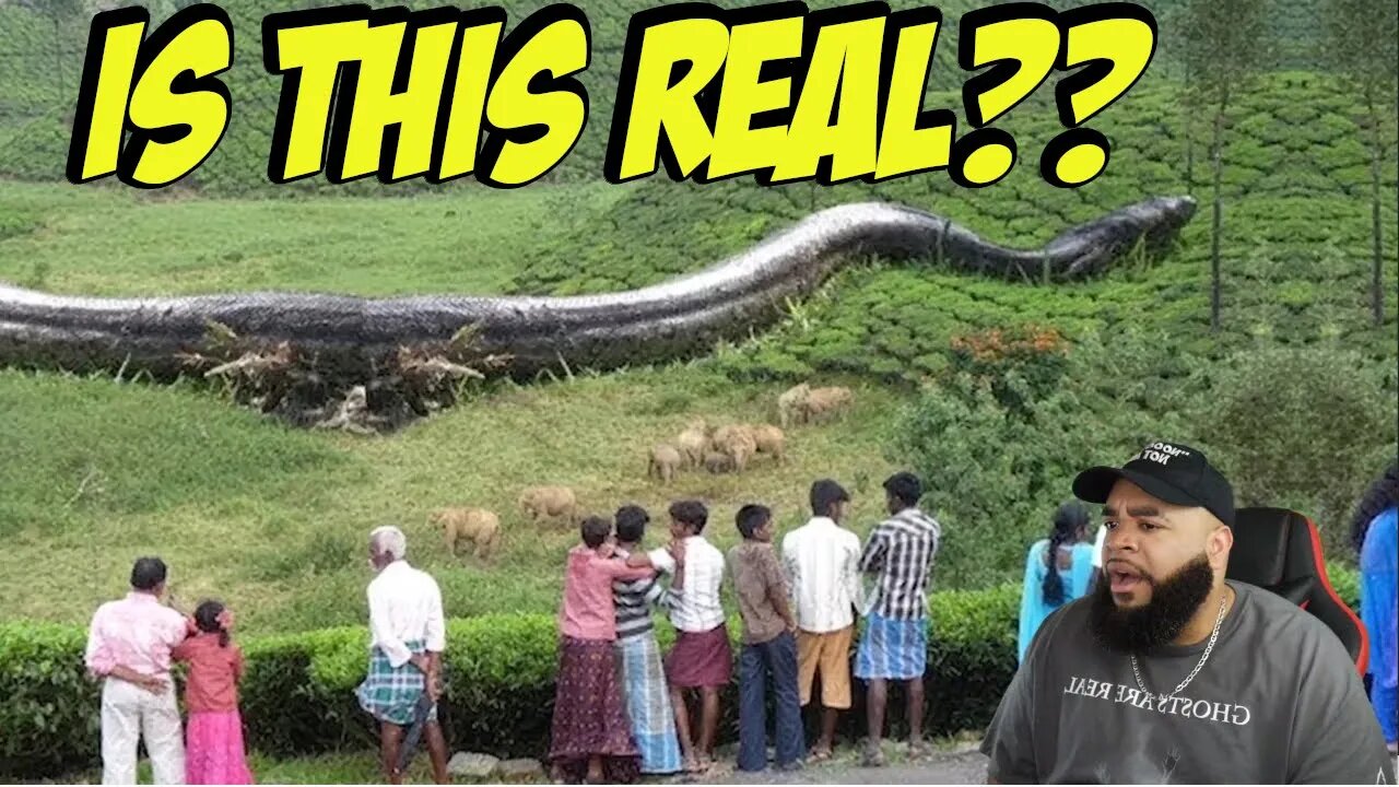 15 Biggest Animals You Won’t Believe Actually Exist! I Never Wanna See Any Of Them 👎🏽