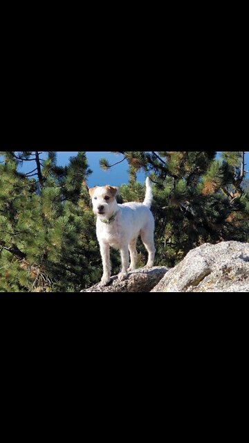 Ares in the Fall ride