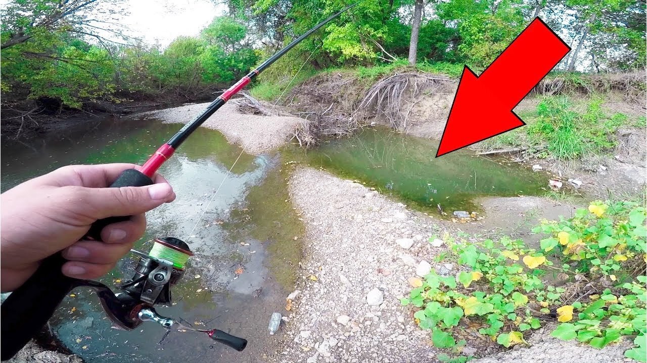 Fishing TINY HIDDEN Creeks in Texas