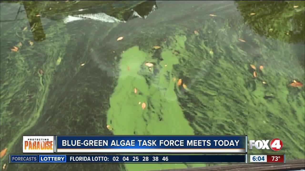 Algae task force meeting Thursday