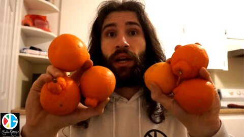 Minneola Taste Test & What Is It Actually ?