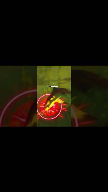 manager sunshine solutions