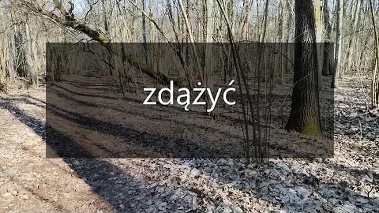 zdążyć ...