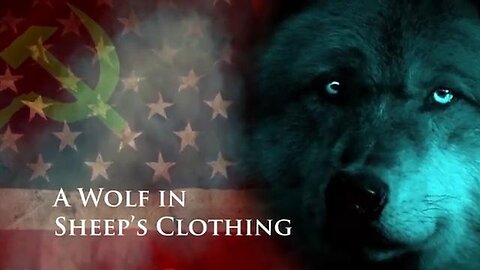 A Wolf In Sheep's Clothing..