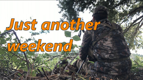 Elk Archery 2024 - Second Weekend