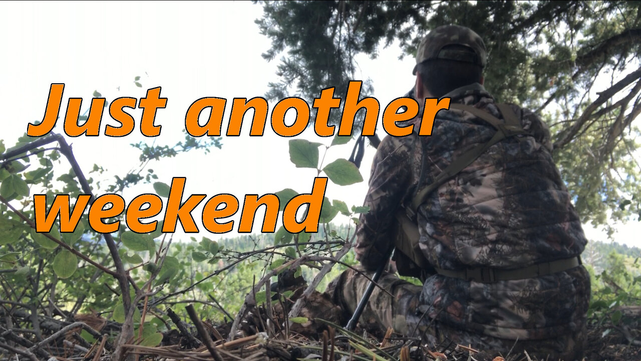 Elk Archery 2024 - Second Weekend