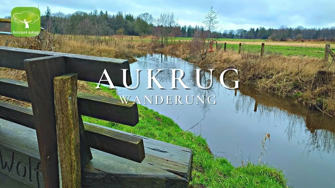 Solo hiking the Aukrug Nature Park - through late winter moors, forests and rivers floodplains