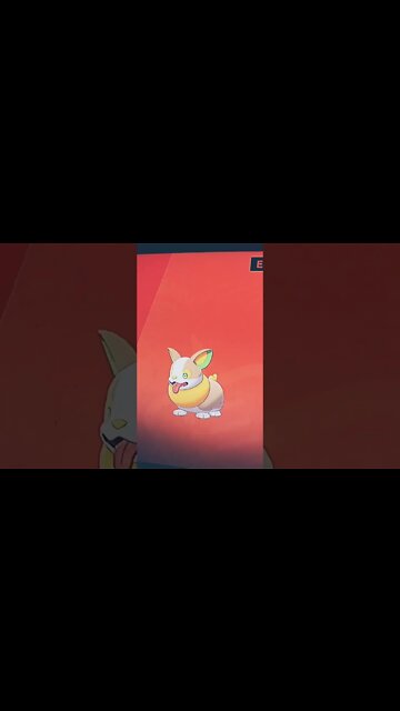 Trey encounters Yamper #shorts #shortsvideo #pokemon