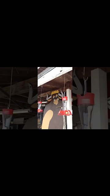 Biz-Ə-Bee Super Flea