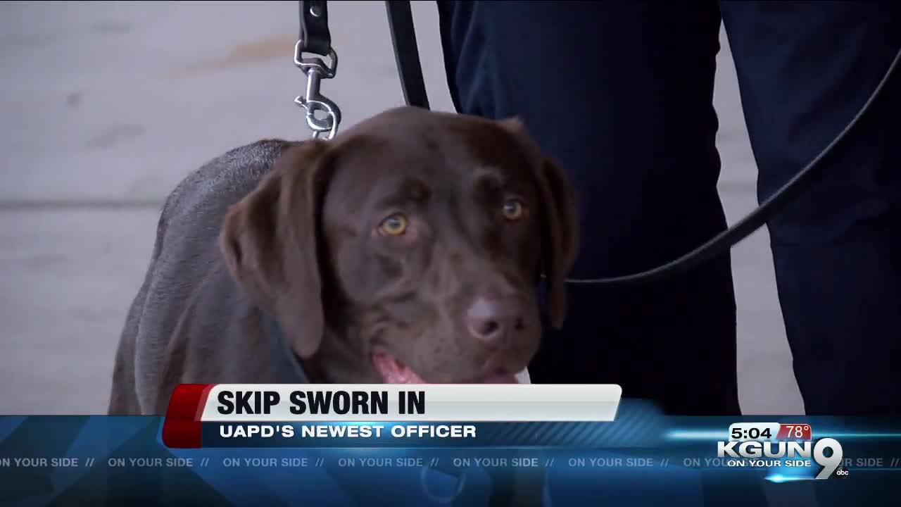 UAPD welcomes new K9 officer 'Skip'