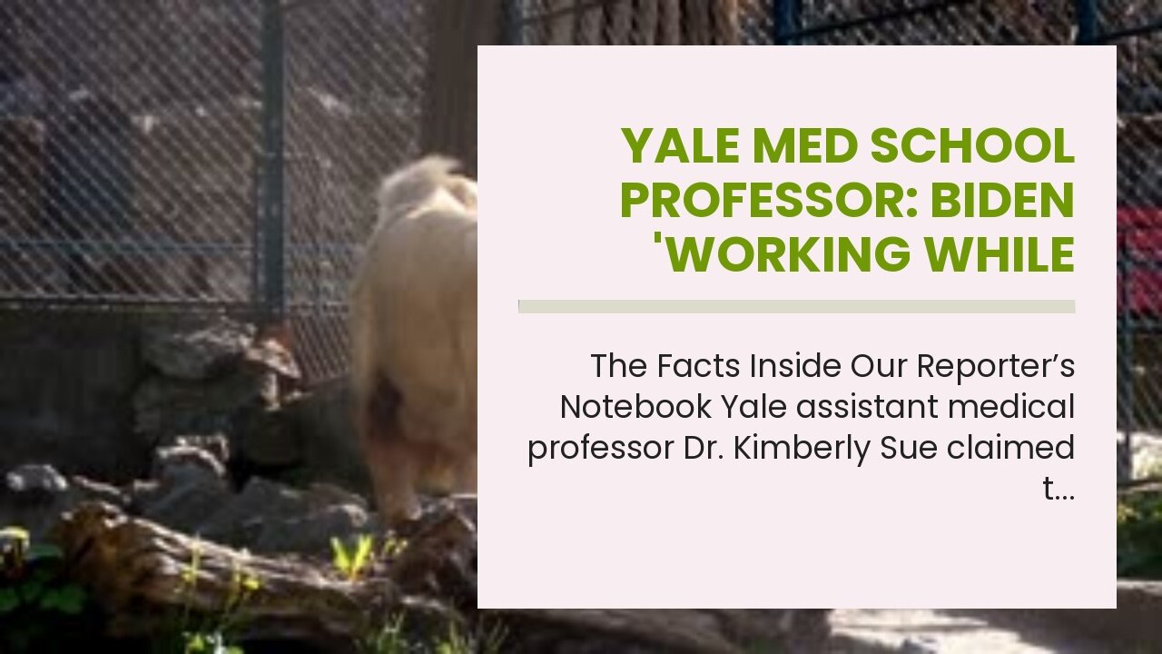 Yale med school professor: Biden 'working while having COVID infection epitomizes white suprema...