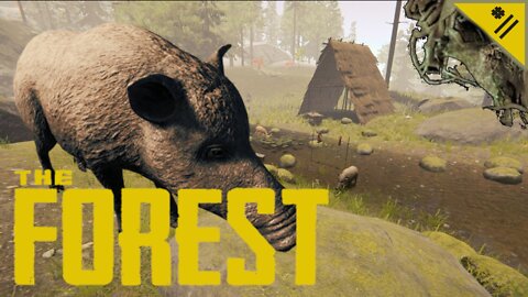 HUNTING FOR BOARS AND ROCKS | The Forest - Season 1 Part 11