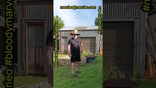 maurieo #shorts WEED SPRAY BEFORE