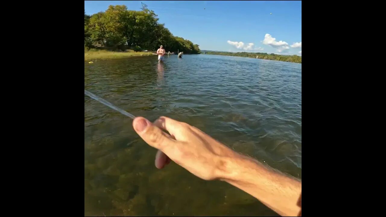 cast netting for some bait