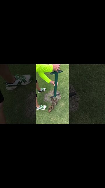 Fill in Dead Lawn Spot Faster