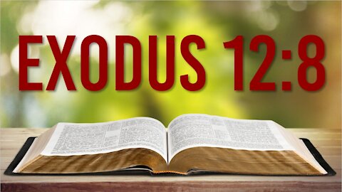 EXODUS 12: 8 - EAT THE LAMB ROAST WITH FIRE