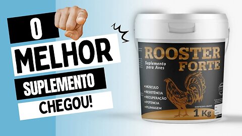 O MELHOR SUPLEMENTO PARA FRANGOS (ROOSTER FORTE)