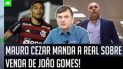 "Essas vendas que VIABILIZAM o Flamengo ter…" Mauro Cezar MANDA A REAL sobre a venda de João Gomes