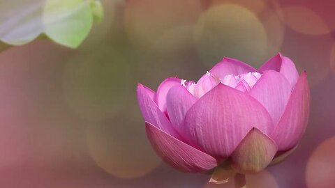 I'M GRATEFUL FOR WAKING UP 15 Minutes Morning Gratitude Zen Meditation Music