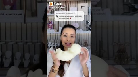 Qual o tamanho do bebê de 23 semanas gravidez
