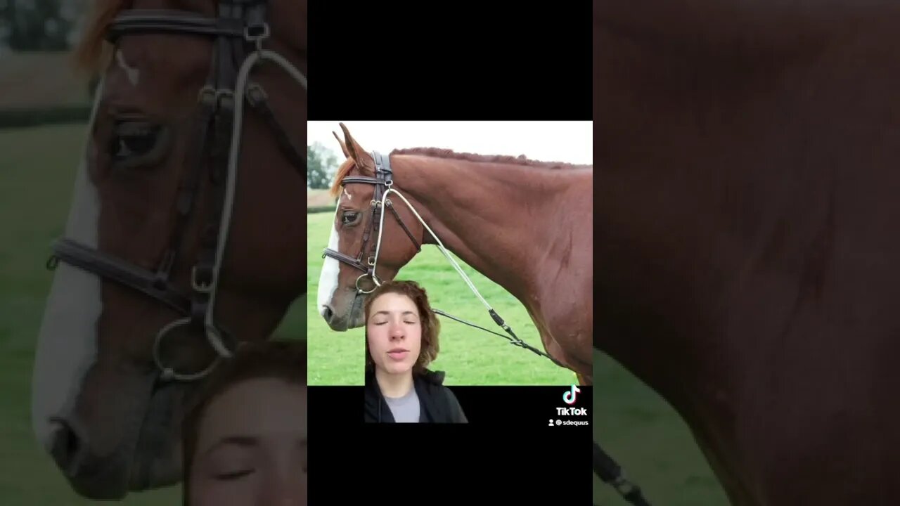 Common Lunging Aids and Why You Shouldn’t Use Them