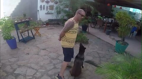 TREINO MEIO DAS PERNAS E PISCINA
