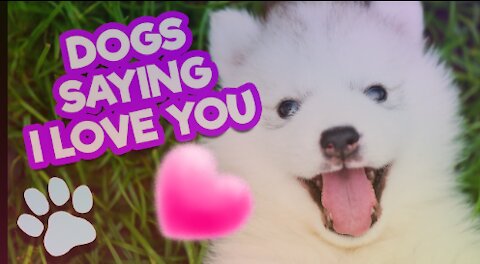 Animal saying I LOVE YOU!!