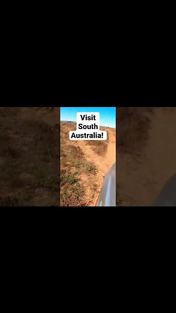 Visit South Australia !