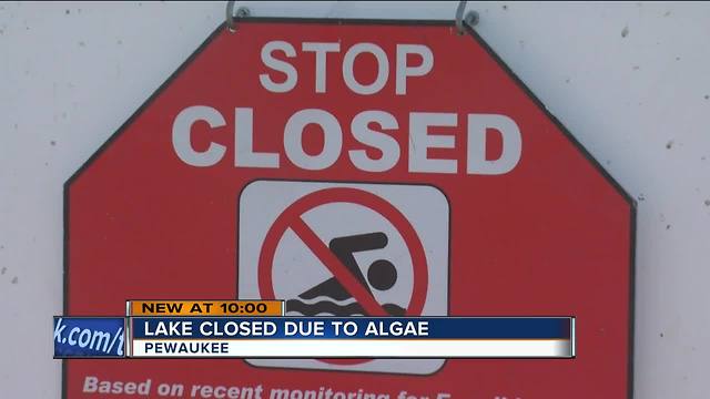 Pewaukee beach shut down because of potentially dangerous algae