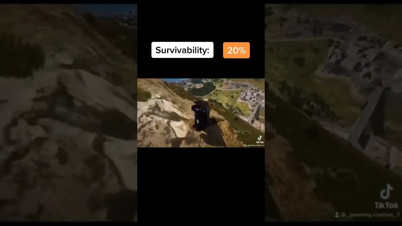 survived in my opinion / BeamNG DRIVE