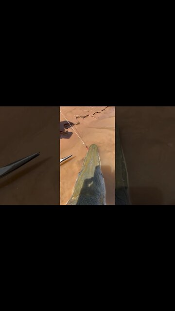 Small Hook = Best Hook (Gar Fishing)