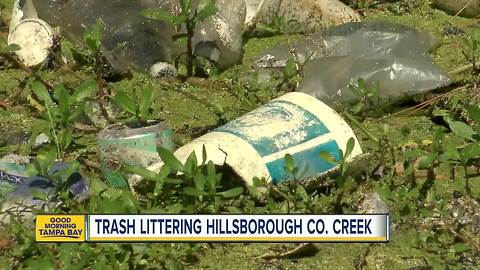 Garbage littering Pepper Mound Creek, residents afraid it will end up in Old Tampa Bay