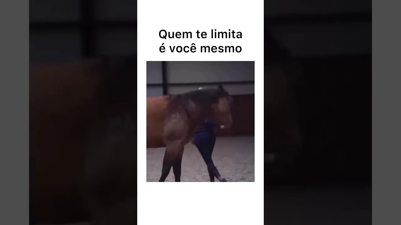 Não se limite..