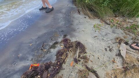 Luna at Castaway Point Park In Palm Bay Florida