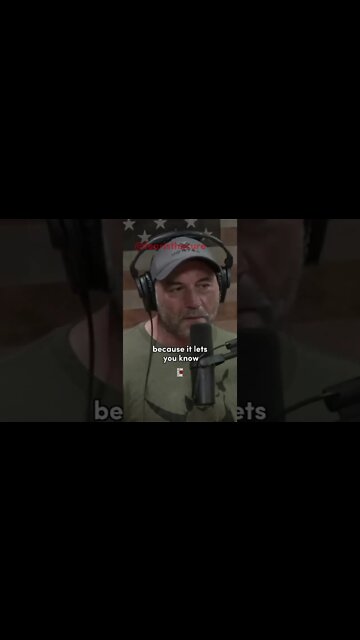 Losing Is Important! -Joe Rogan