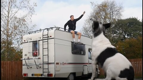 The WORLD's BIGGEST dog ever!