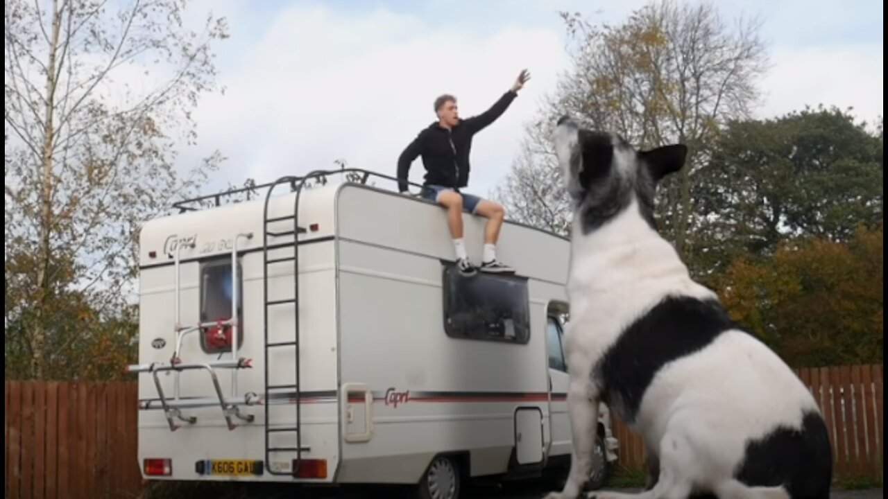 The WORLD's BIGGEST dog ever!