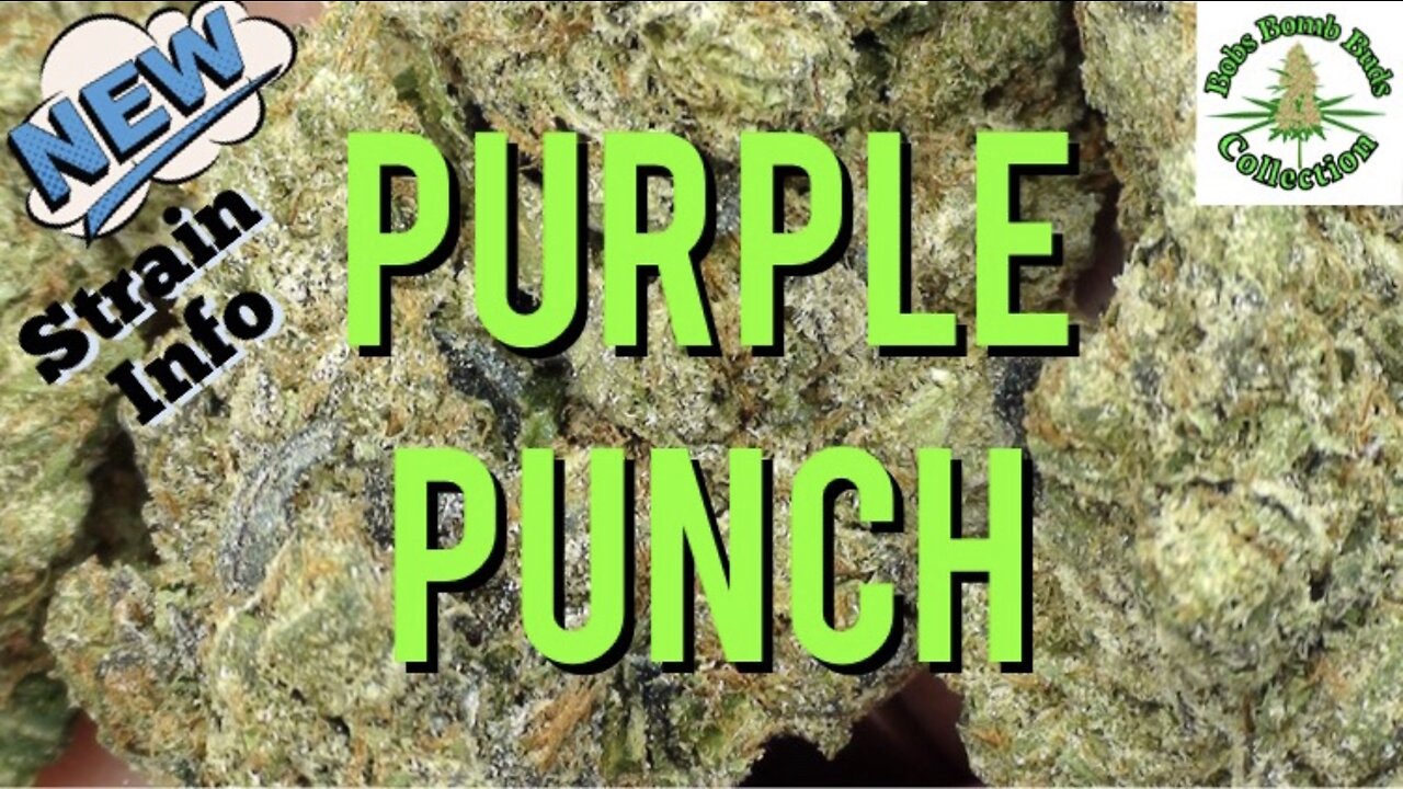 Purple Punch