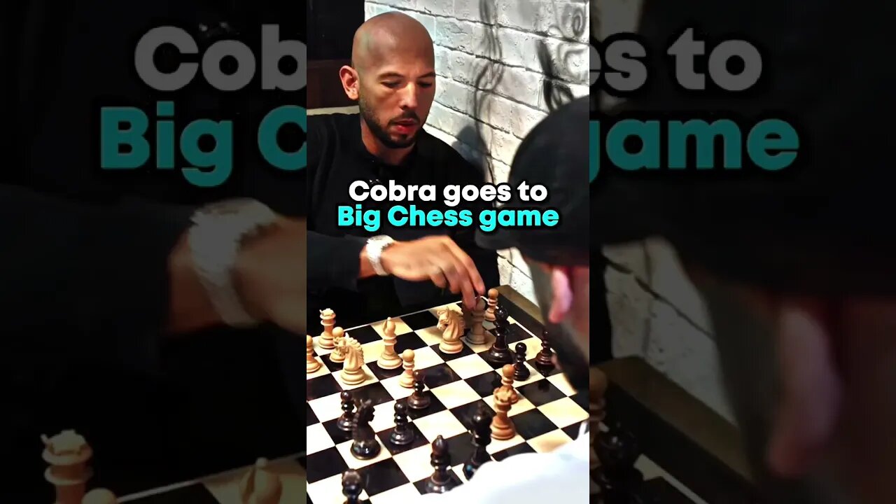 Cobra plays a tough chess match