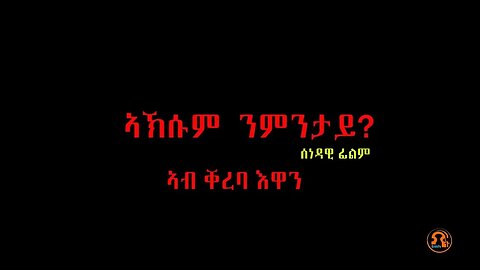 ኣኽሱም ንምንታይ? - TMH | 11-28-23