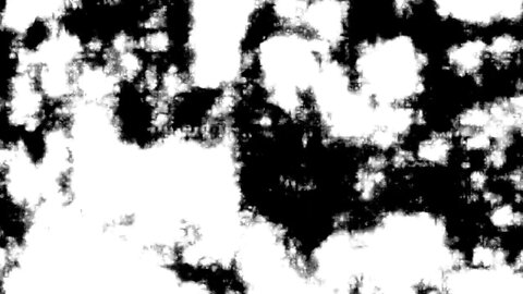 Beachfront B roll Rorschach Free to Use HD Animated Looping Background