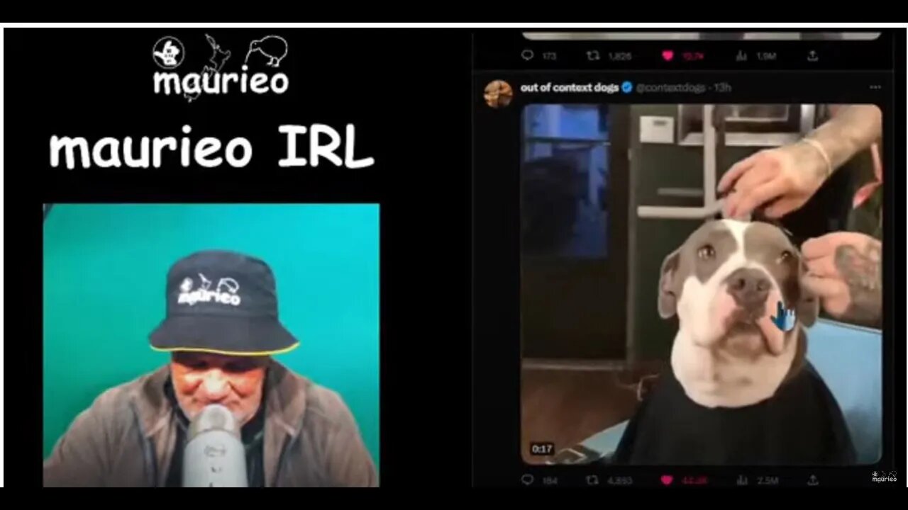 maurieo IRL #096