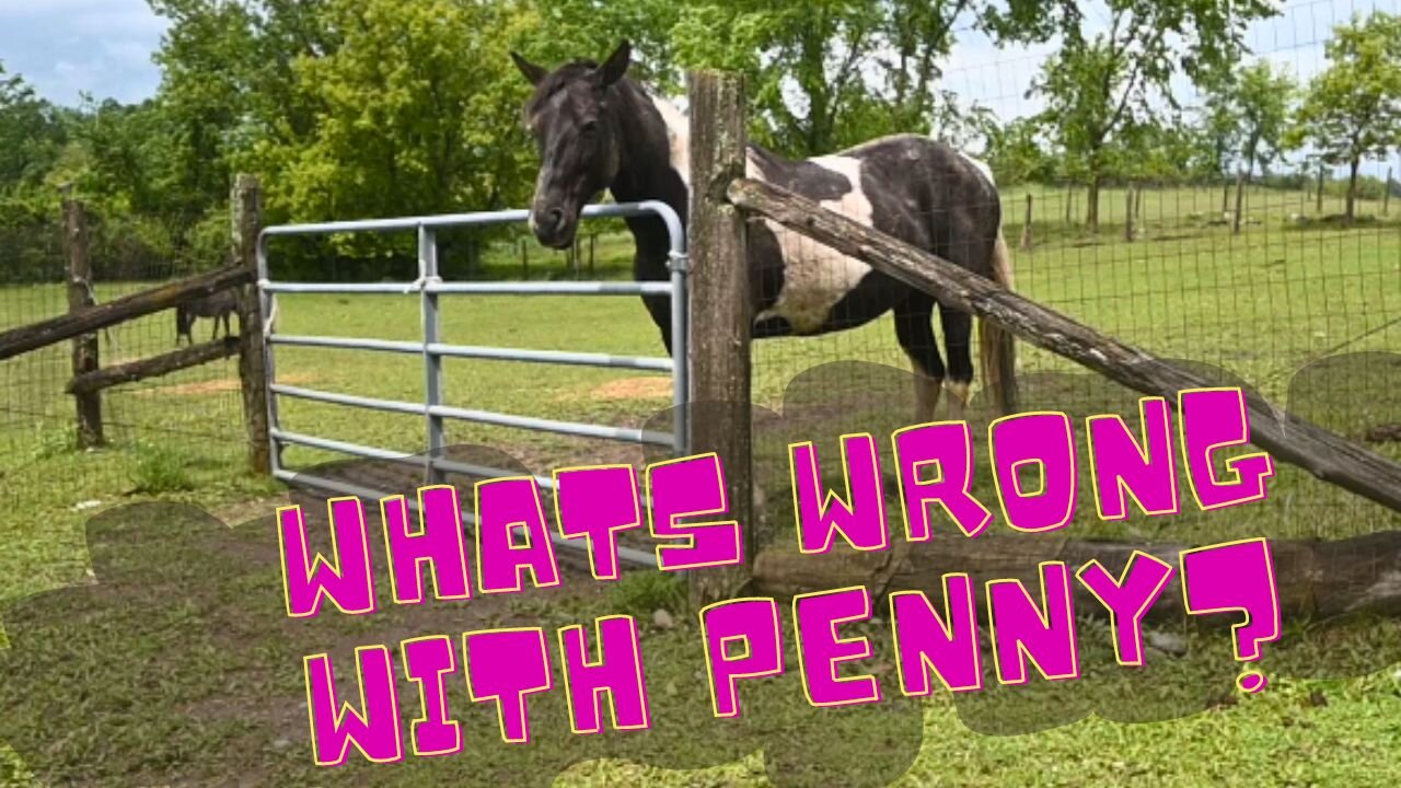 Problems With PENNY!