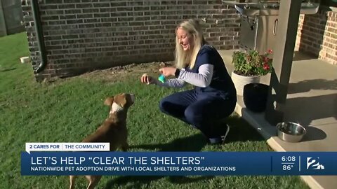 Let's help 'Clear the Shelters'