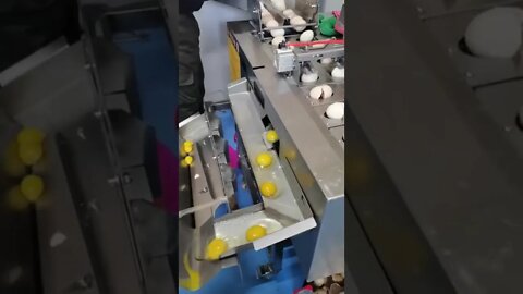 Amazing Videos for entertainment(1)