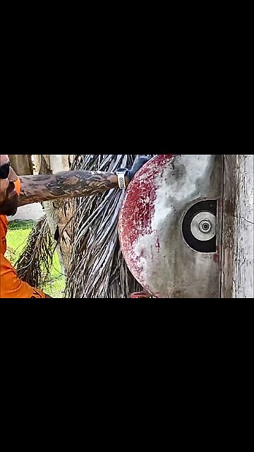 Cutting a wall in the backyard.