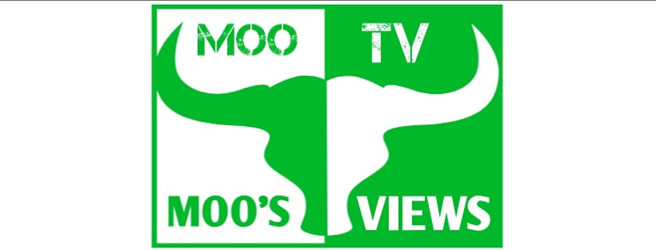 MOO'S VIEWS EP:3 They are telling us their plan!
