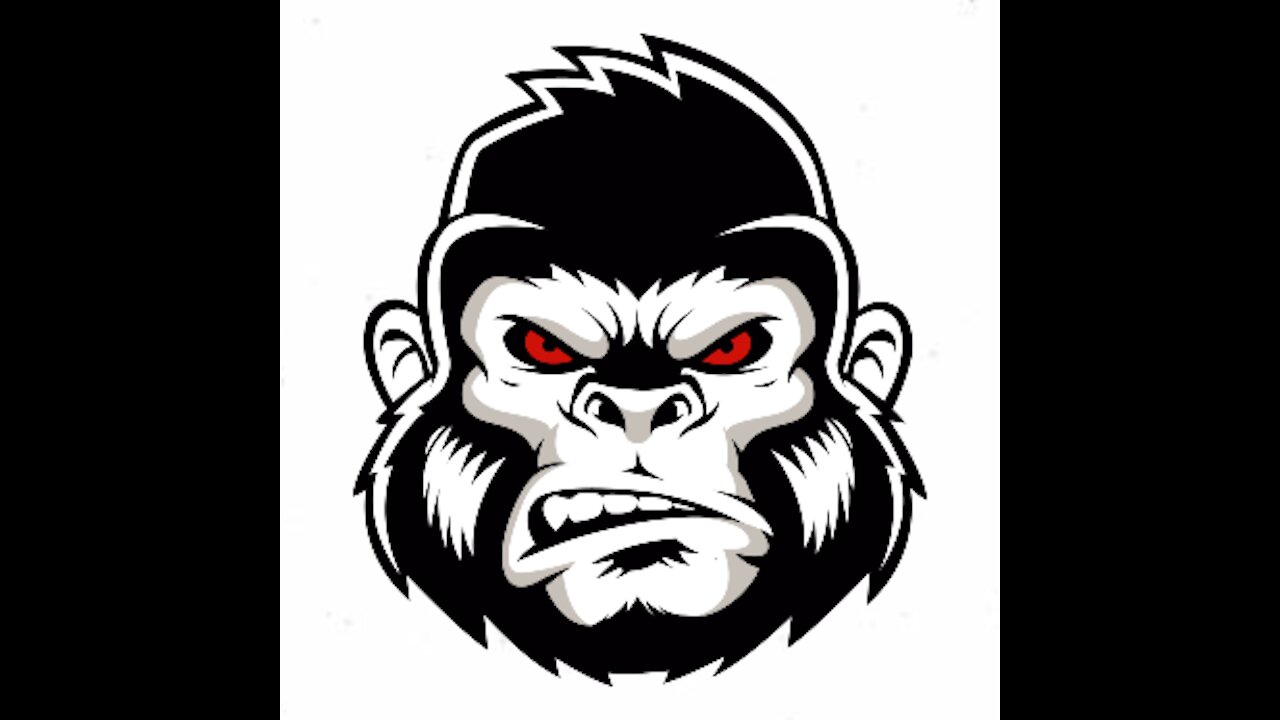 GORILLA TV THE BEST IPTV 2021