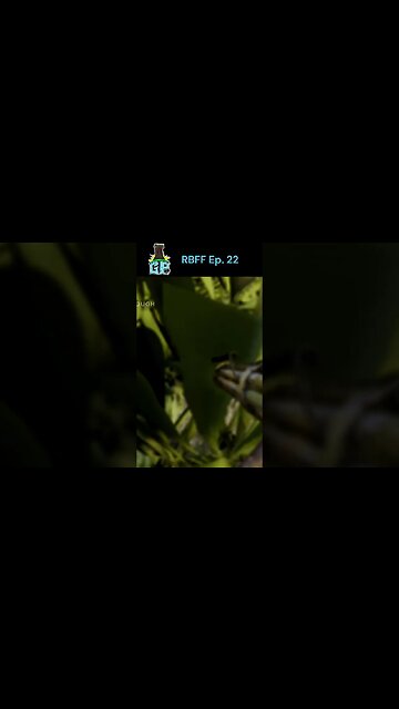 Real Battlefield Friends Episode 22: Cuban invasion